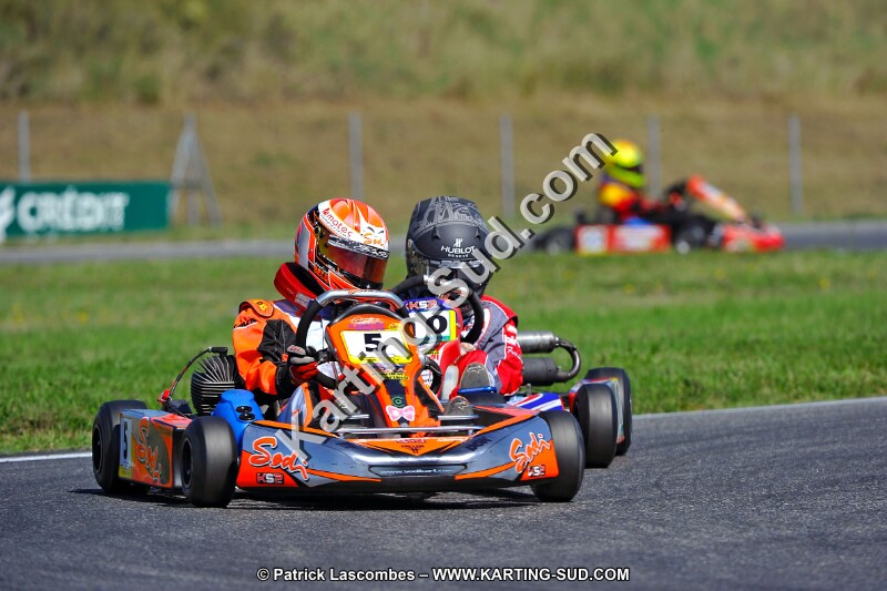 DSC_ (1373).jpg